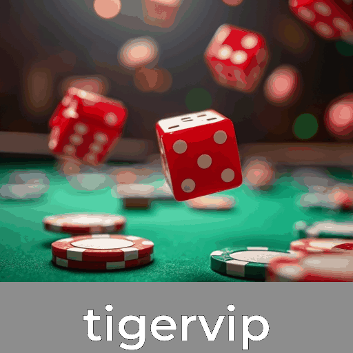 Tigervip: Bônus e Ofertas que Fazem a Diferença
